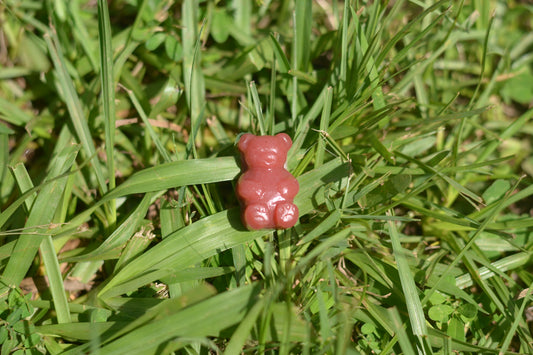 Strawberry Blossom Protein Gummies