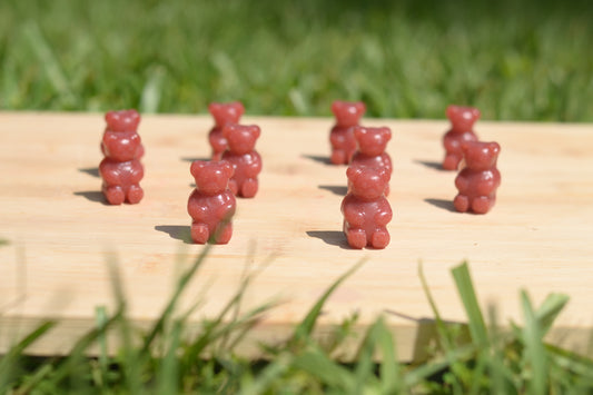 Strawberry Blossom Fruit Snacks