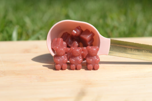 Strawberry Blossom Fruit Snacks