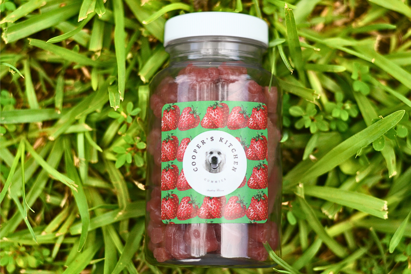 Strawberry Blossom Protein Gummies