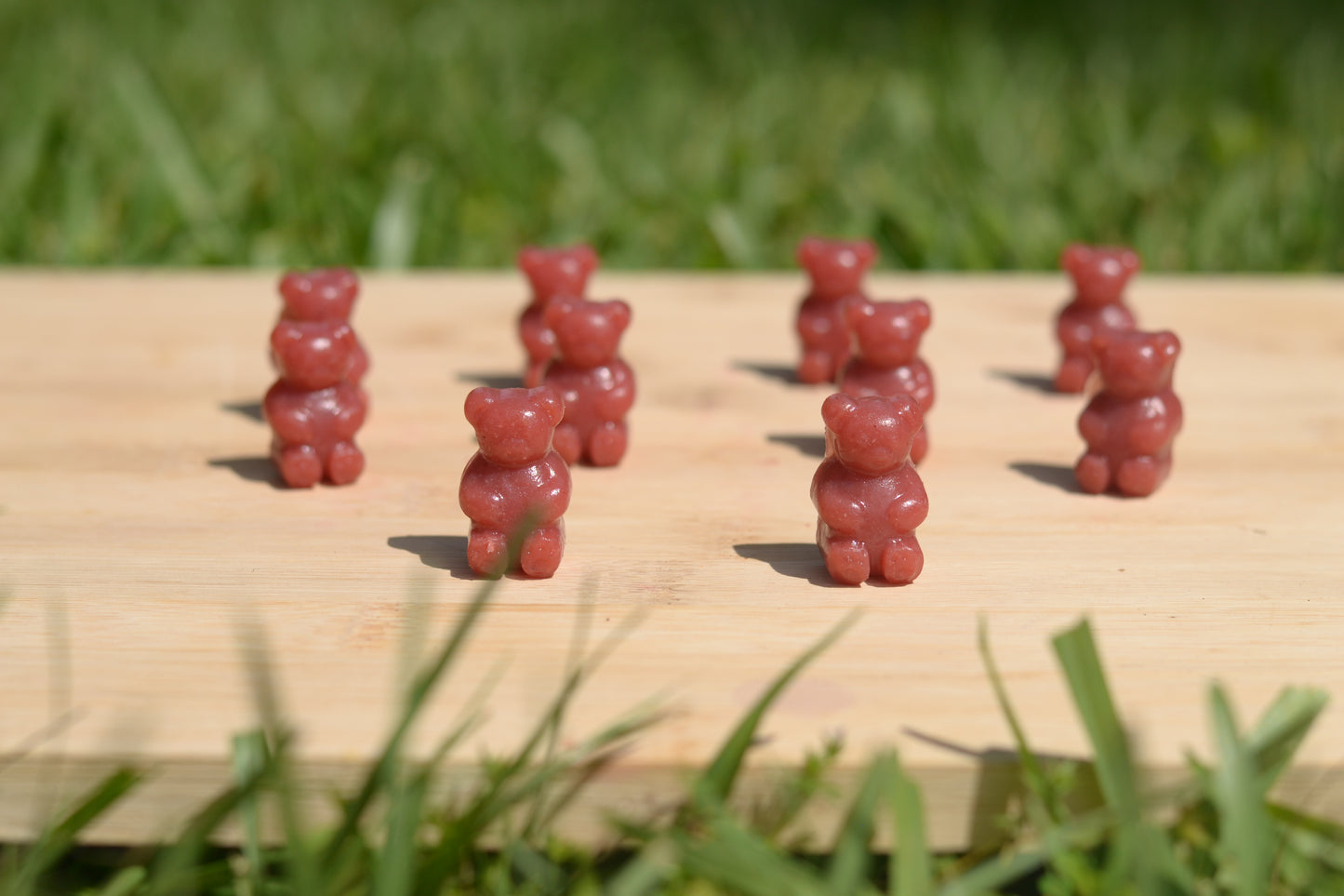 Strawberry Blossom Protein Gummies