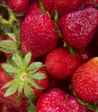 Strawberry Blossom Protein Gummies